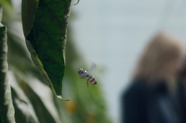 black-mirror-hated-in-the-nation-bees1