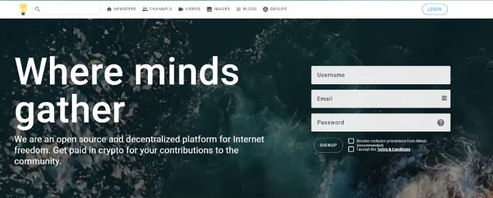 google-plus-alternatives-minds google-plus-alternatives-minds