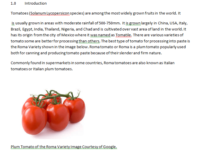 recovery-toolbox-for-word-end-results