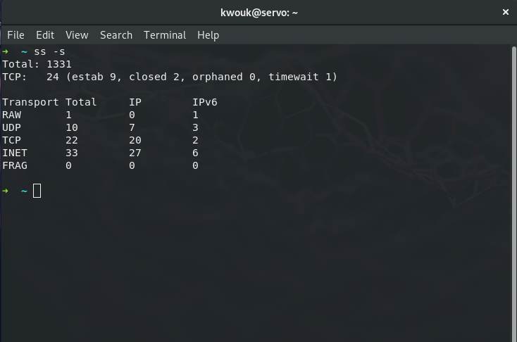 how-to-use-ss-command-summary