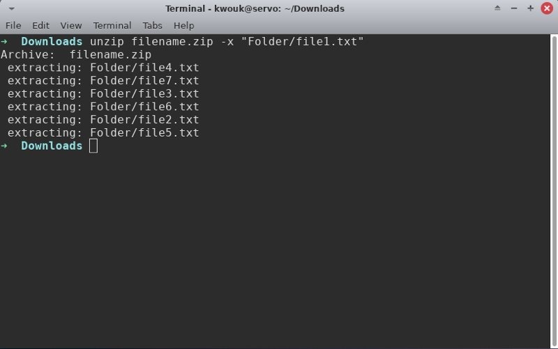 unzip-files-linux-exclude unzip-files-linux-exclude