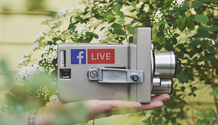 writers-opinion-social-media-violence-content writers-opinion-social-media-violence-content