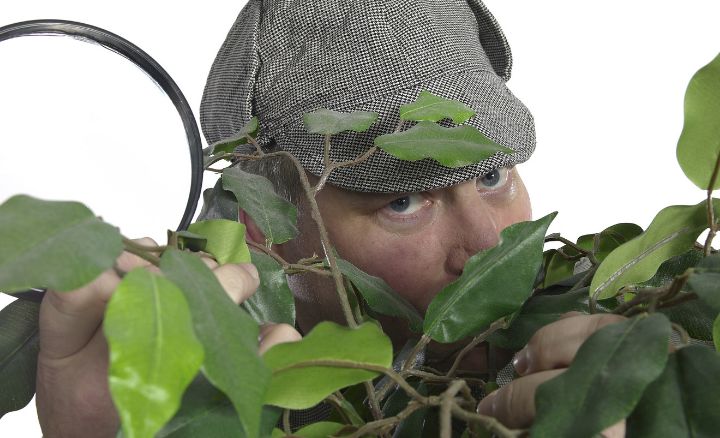 Duckduckgo How Tracking You