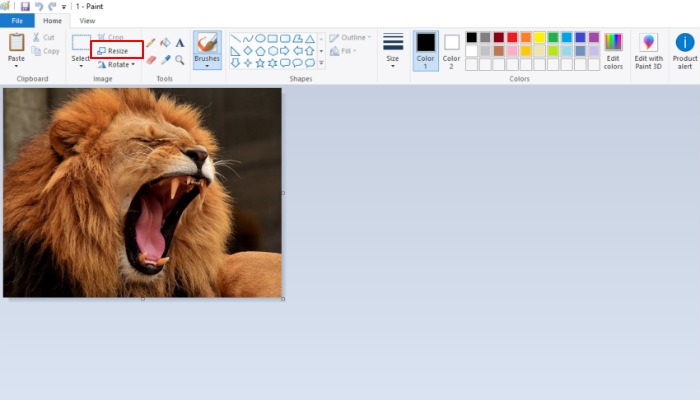 Resize Image Windows Paint