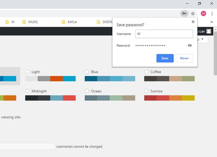 Browser Password Manager Chrome