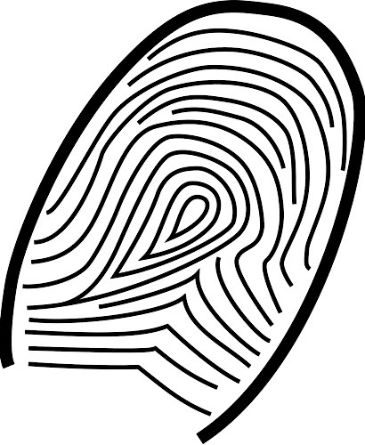 News Apple Touch Id Fingerprint