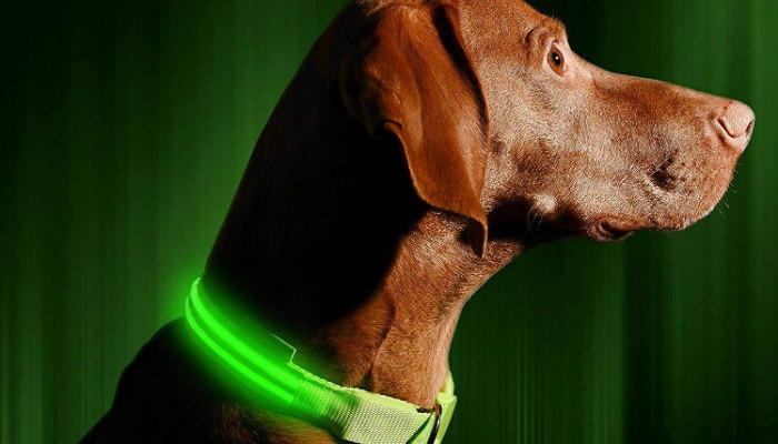 Pet Tech Ledcollar Pet Tech Ledcollar