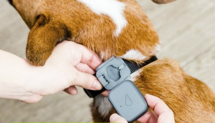 Pet Tech Whistle Pet Tech Whistle