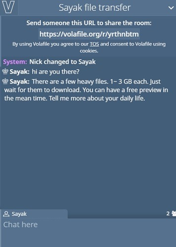 File Transfer Volafile Chatroom Editing