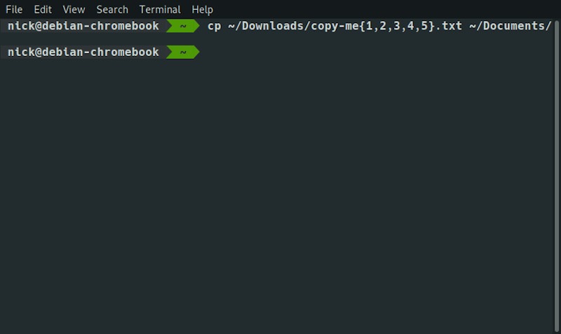 Linux Cli Copy Multiple