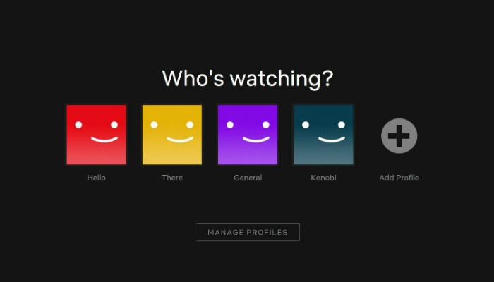 Netflix Profiles