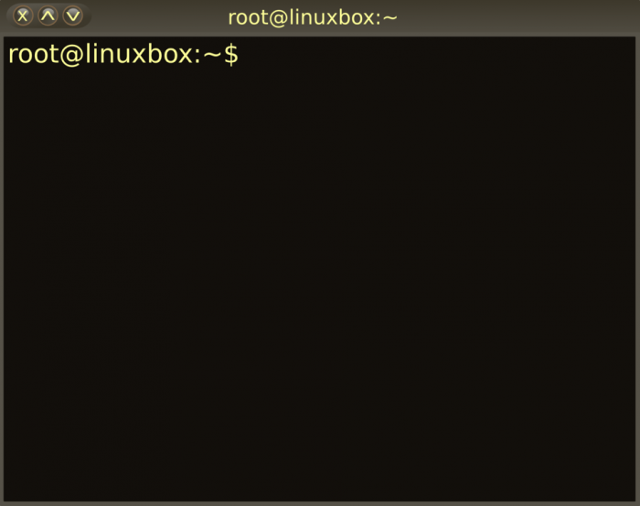 Why You Should Use Linux Terminal