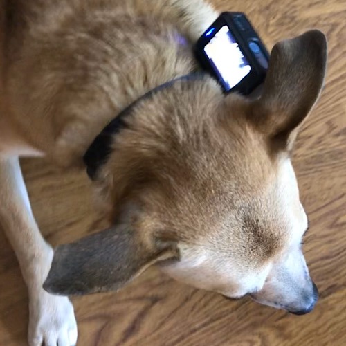 Review Akaso Action Camera Huver