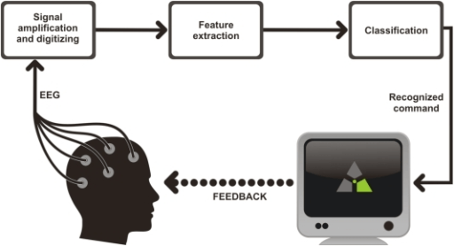 Bci Signal Processing