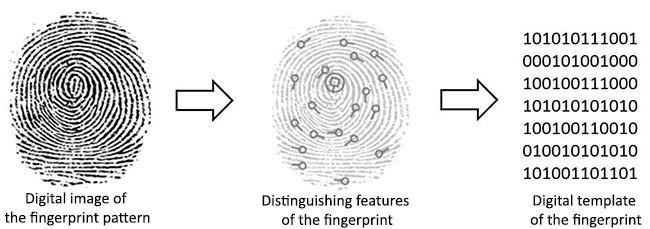 Fingerprint Scanners Analysis Encoding.png
