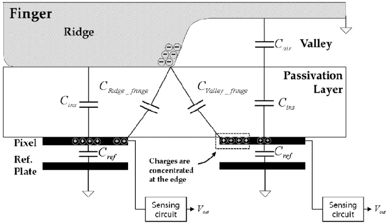 Fingerprint Scanners Capacitive Diagram