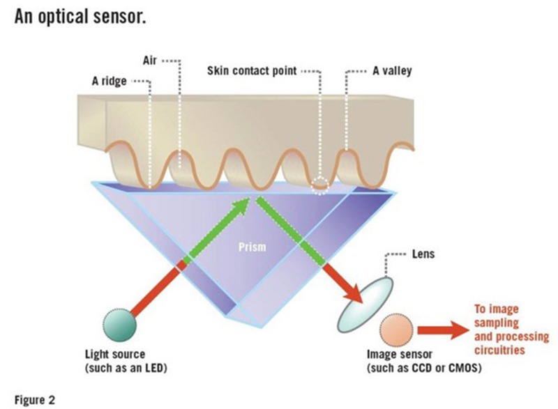 Fingerprint Scanners Optical