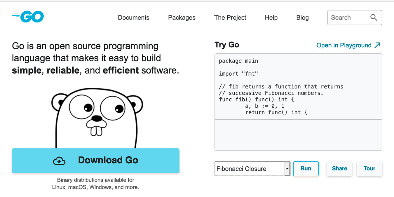 Golang Vs Java Go Website