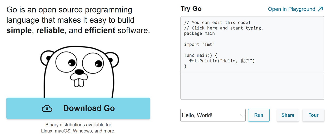 Golang Vs Python Go Website
