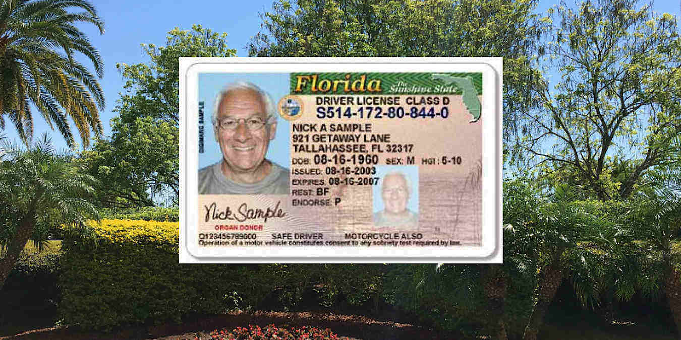 Florida Drivers License