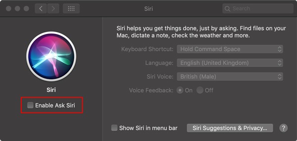 Disable Siri Uncheck Siri