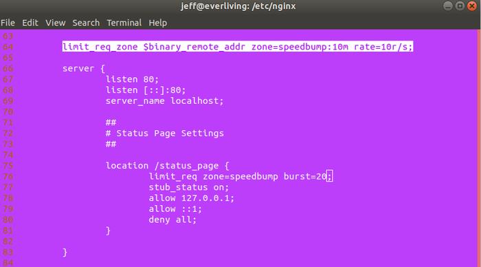 Nginx Limit Code