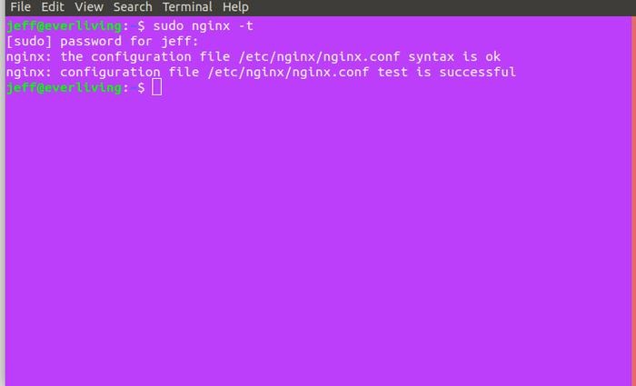 Nginx Test Config