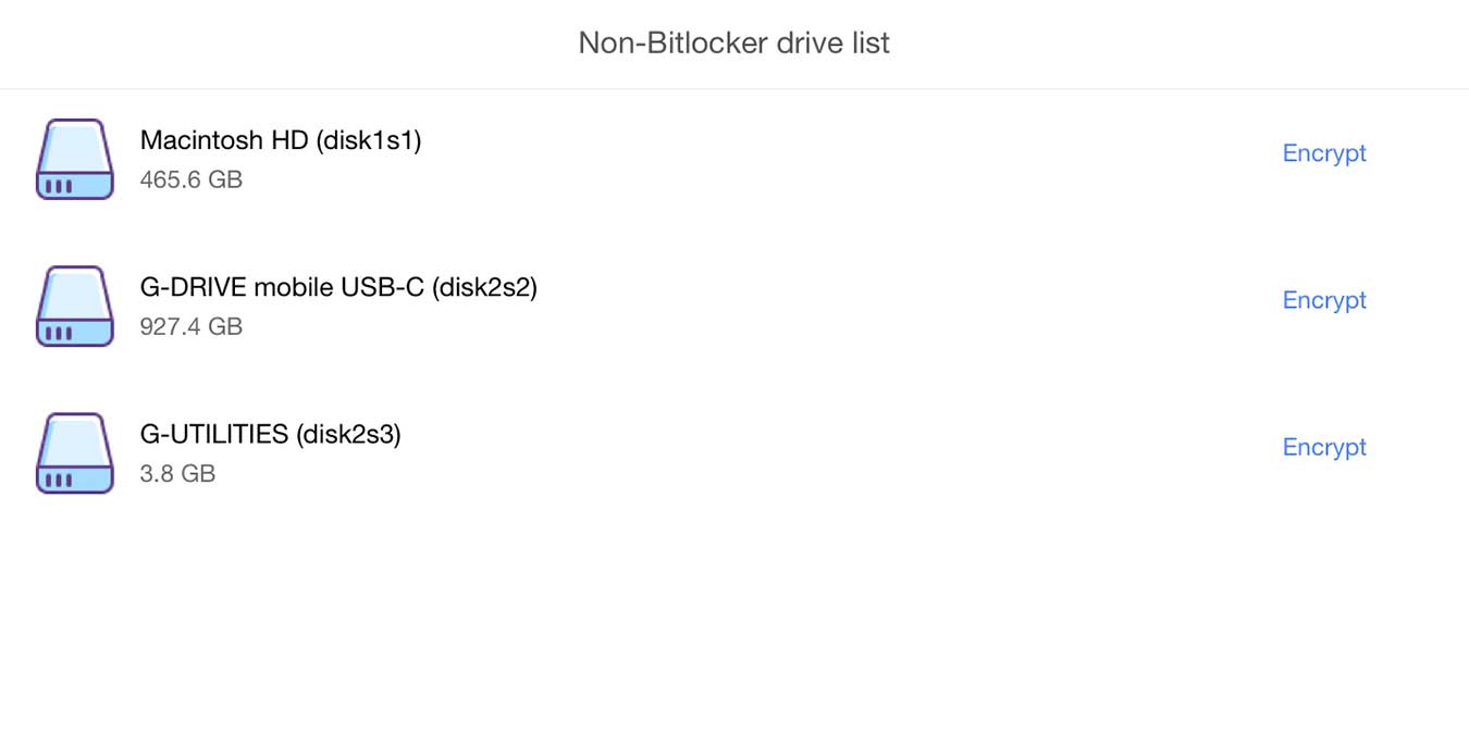 M3 Bitlocker Loader Review Drive List