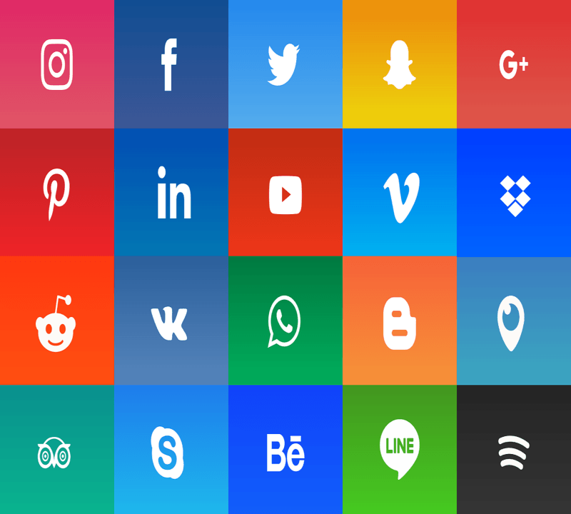 Various Social Media Platforms