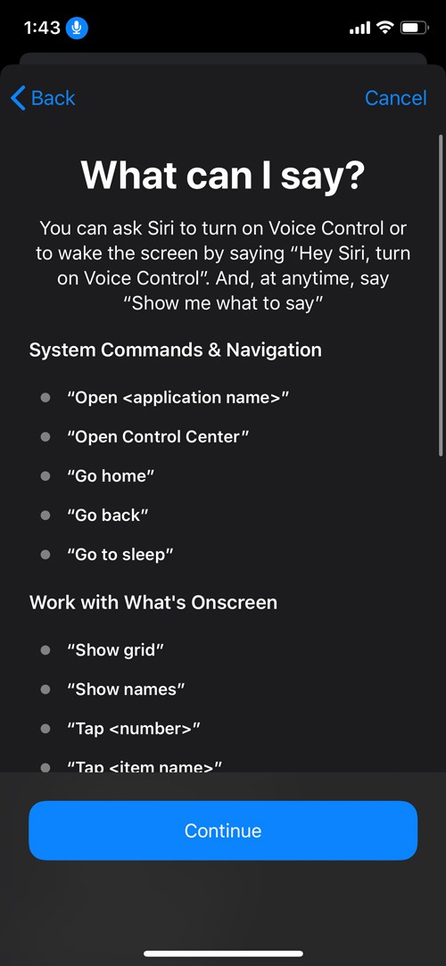 Enable Voice Control Ios Commands