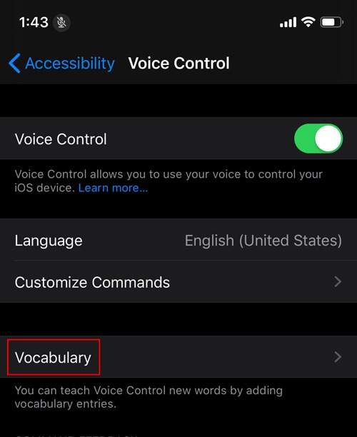 Enable Voice Control Ios Vocabulary