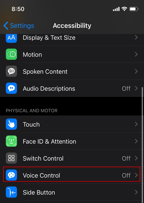 Enable Voice Control Ios Voice Control