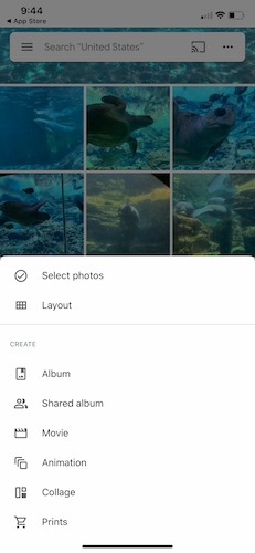 Beginners Guide Google Photos Organization