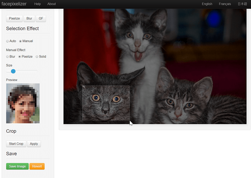 Blurring Images Facepixelizer 1 Selection Blurring Images Facepixelizer 1 Selection