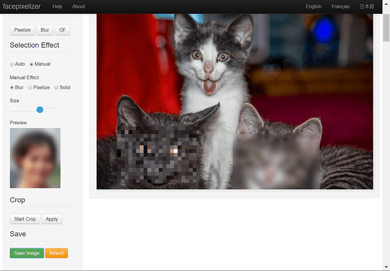 Blurring Images Facepixelizer 2 Blurred Blurring Images Facepixelizer 2 Blurred