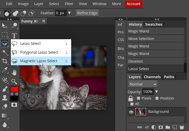 Blurring Images Photopea 1 Selection Blurring Images Photopea 1 Selection