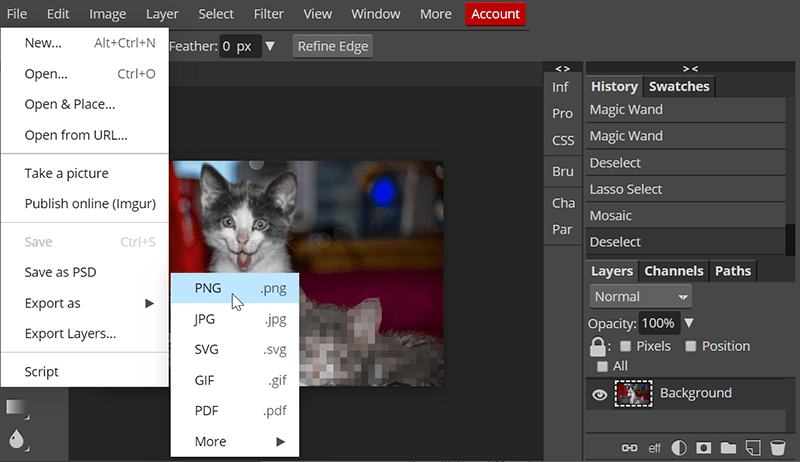 Blurring Images Photopea 3 Save Blurring Images Photopea 3 Save