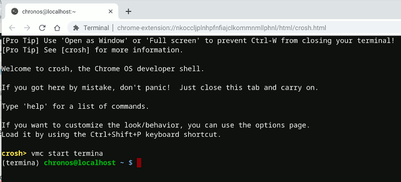 Chromeos Crosh Start Termina Chromeos Crosh Start Termina