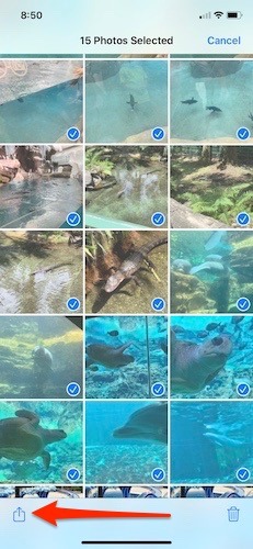 How To Organize Photos Iphone Add To Album How To Organize Photos Iphone Add To Album