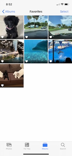 How To Organize Photos Iphone Favorites How To Organize Photos Iphone Favorites