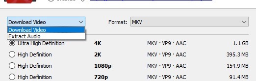 4k Video Downloader Extract Audio