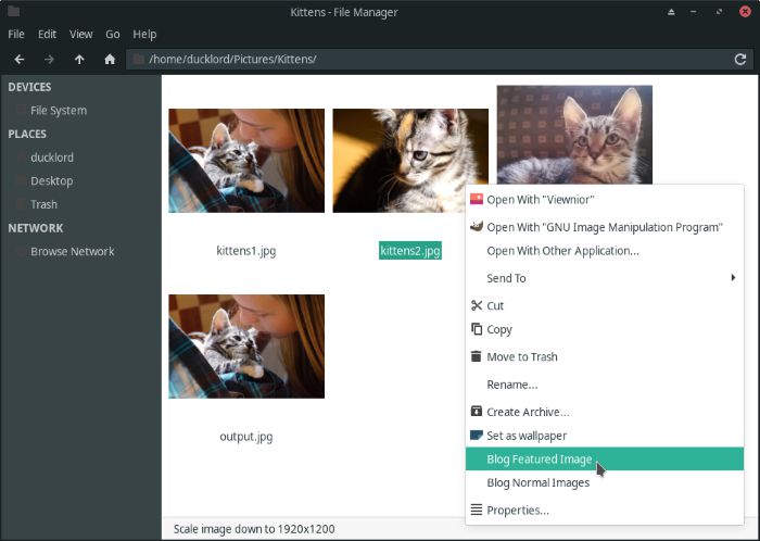 Thunar With Imagemagick 007