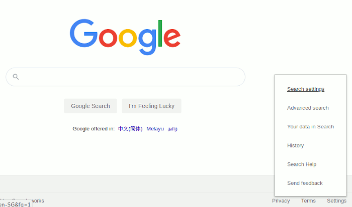 Google Search Settings