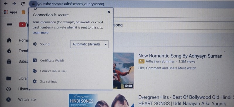 Mute Site Padlock Icon
