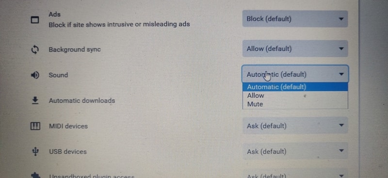 Mute Site Sound Options Mute Site Sound Options