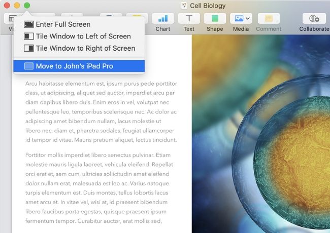 Macos Catalina Features Ipad Screenshot