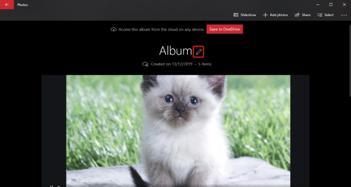 Windows Photos Name Album Windows Photos Name Album