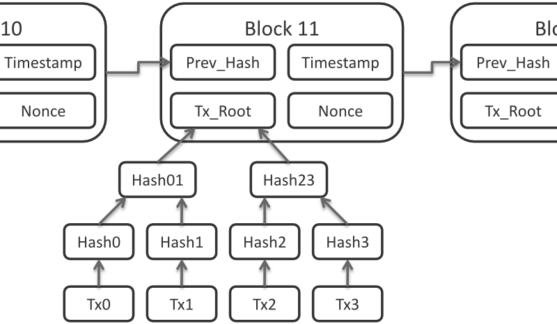 Lightning Network Block Data