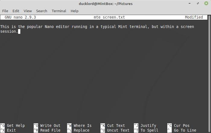 Screen Terminal Multitasking 1st Session