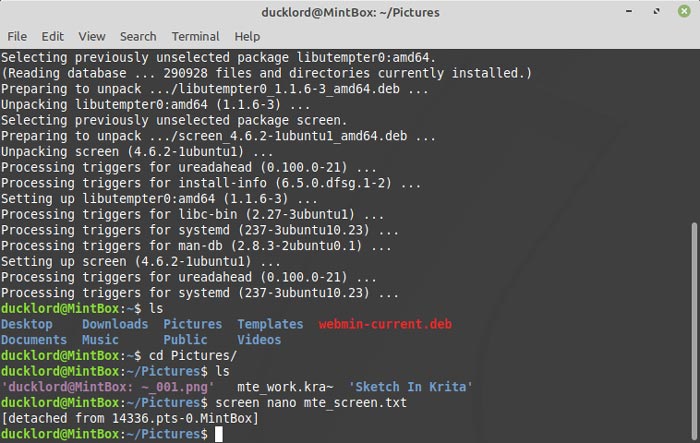 Screen Terminal Multitasking Detach